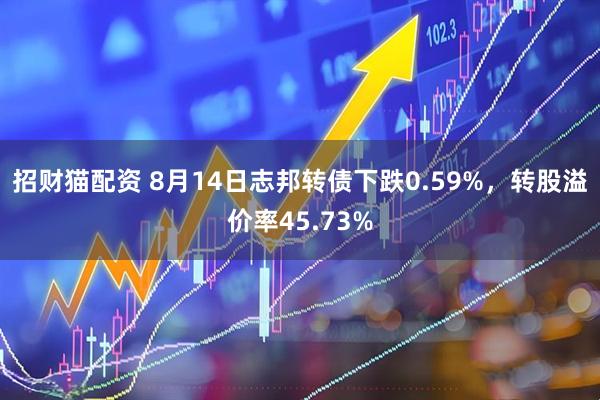 招财猫配资 8月14日志邦转债下跌0.59%，转股溢价率45.73%