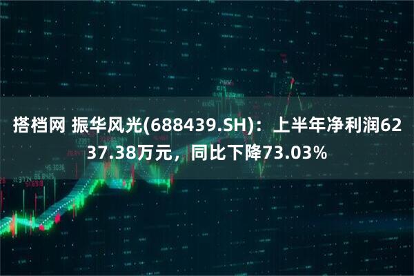 搭档网 振华风光(688439.SH)：上半年净利润6237.38万元，同比下降73.03%